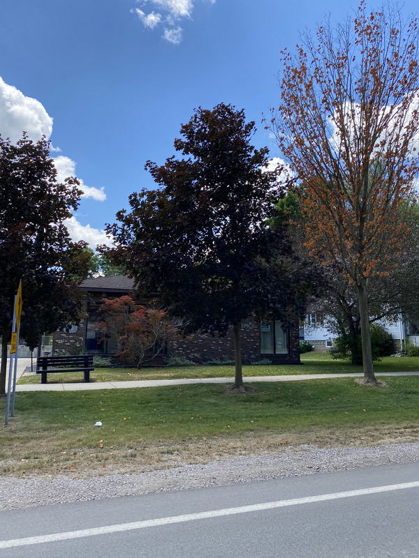 Dryden - July 11 2021 Photo (newer photo)